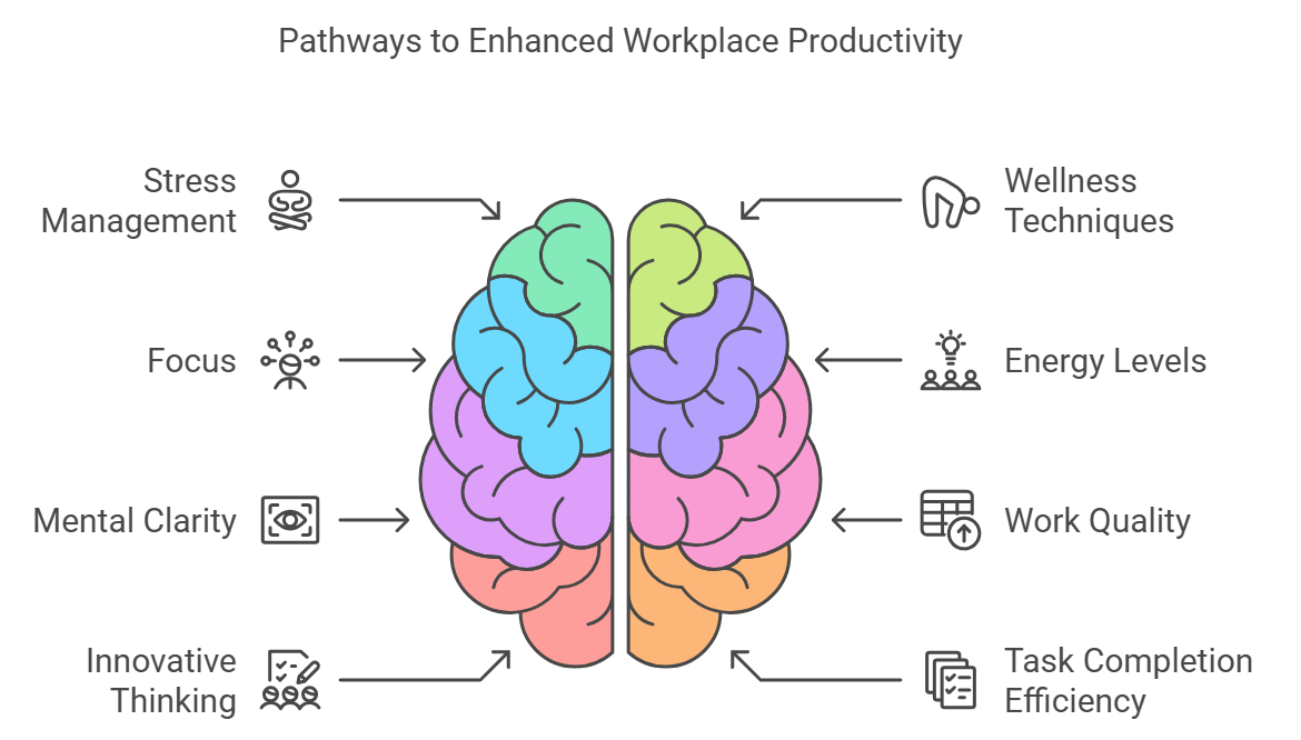 Enhanced Productivity & Performance